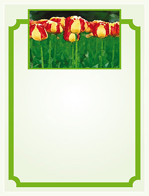 Etiqueta de Vino Tinto